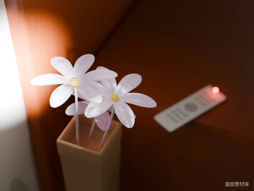 高清摄影 室内装饰 现代风格 家居设计 花朵摆件 温馨氛围 简约现代室内装饰