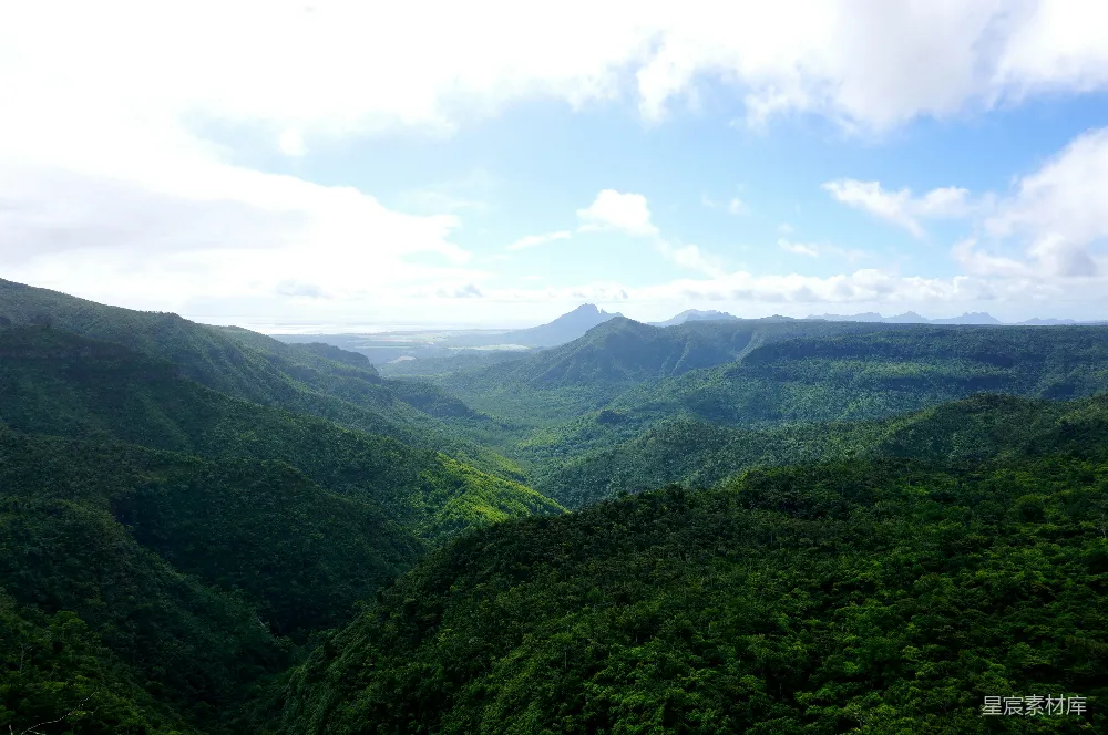 高清摄影 自然风光 山地 绿意盎然 户外探索 宁静 丛林山谷的宁静景色