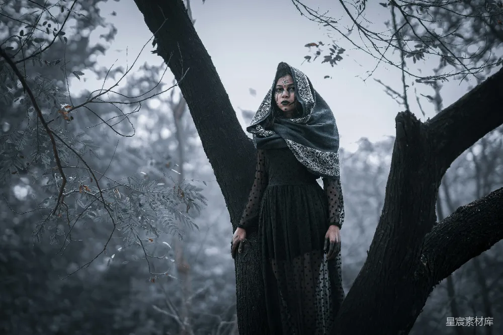 高清摄影 女巫 森林 神秘 奇幻 艺术 森林中的神秘女巫