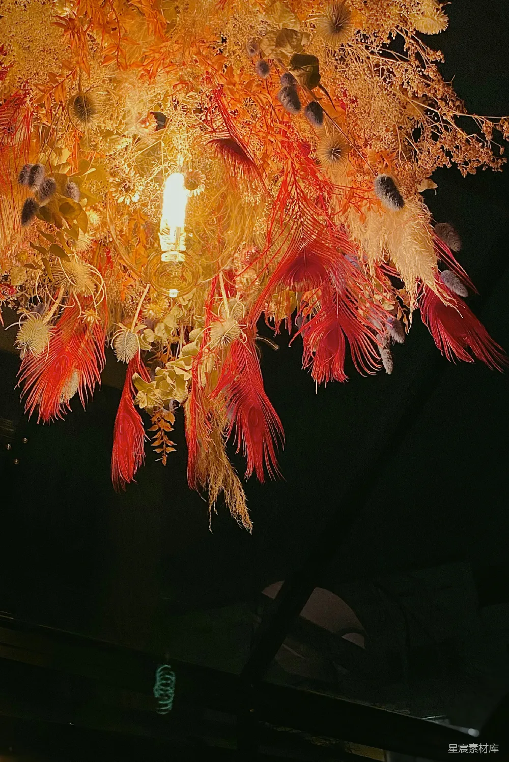高清摄影 花灯 秋日 自然 装饰 温暖 秋日花灯：温暖的自然装饰