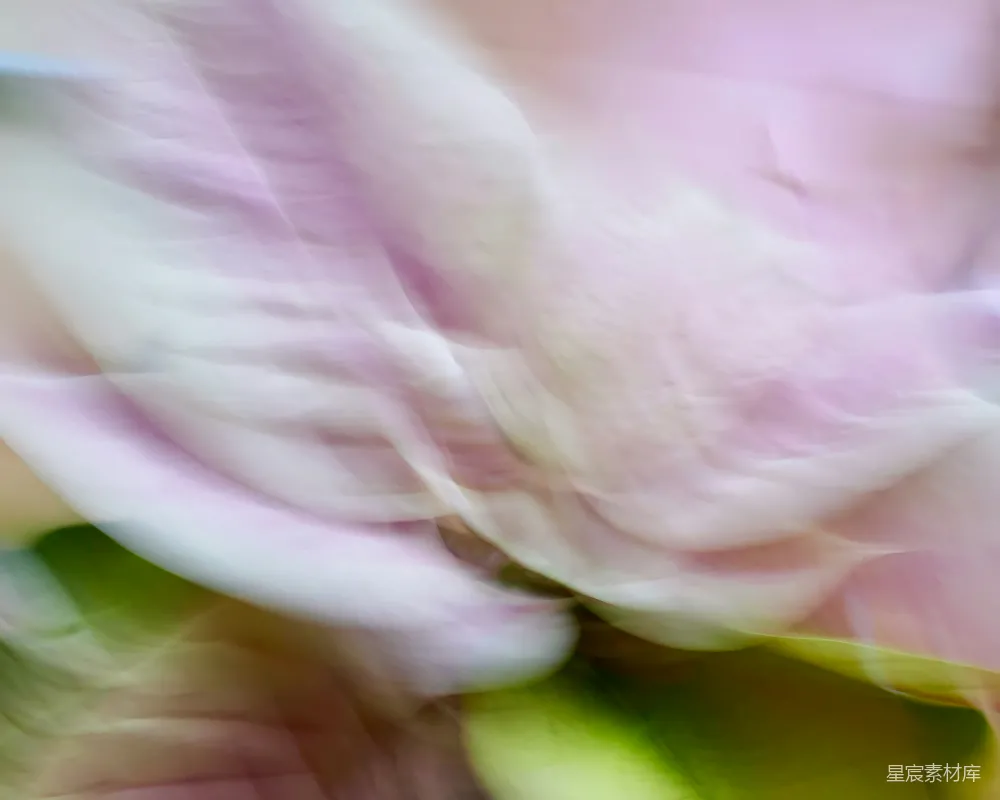 高清摄影 花朵 抽象艺术 自然 柔和 艺术摄影 梦幻花瓣