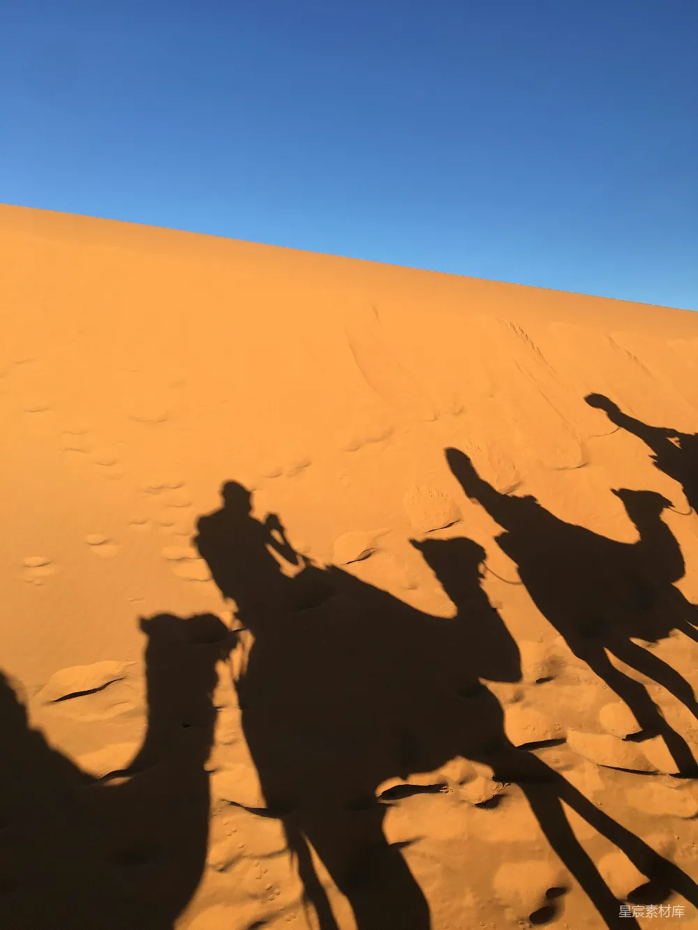 高清摄影 沙漠 剪影 旅行 自然 探险 沙漠之影：驼铃与孤独