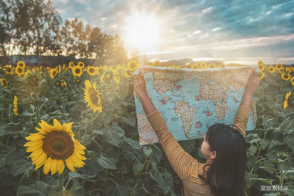 高清摄影 向日葵 旅行 地图 自然 户外 在向日葵田中探索世界