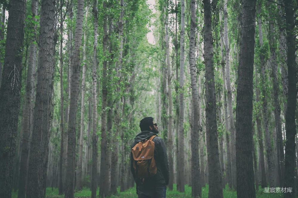高清摄影 森林 自然 孤独 旅行 思考 人在森林深处的思考