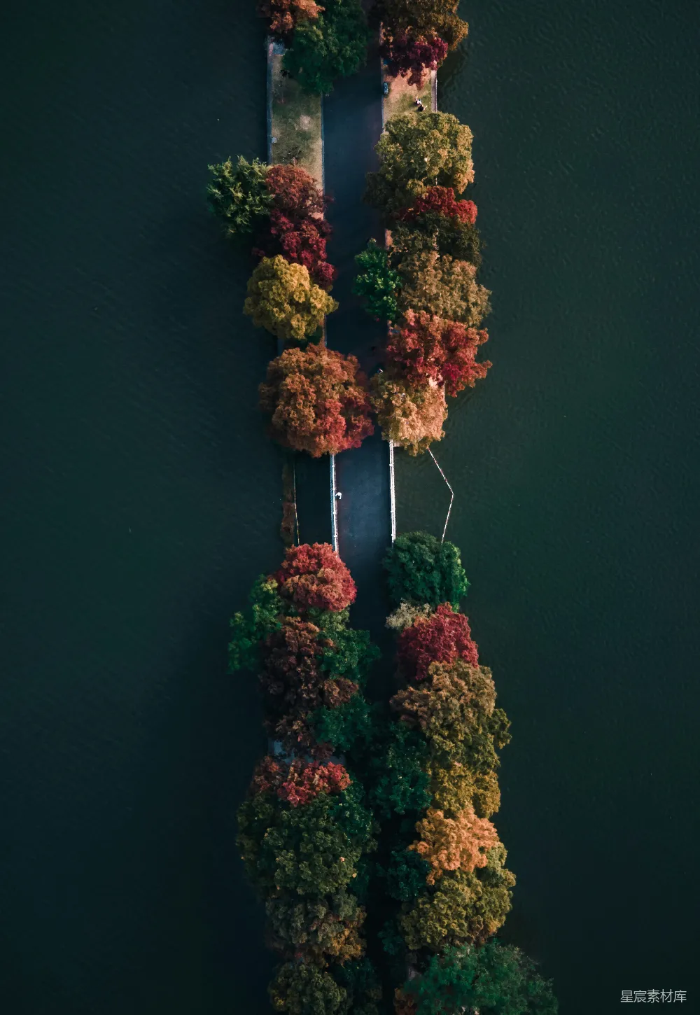 高清摄影 秋景 航拍 湖泊 树木 自然 秋日湖畔的色彩斑斓