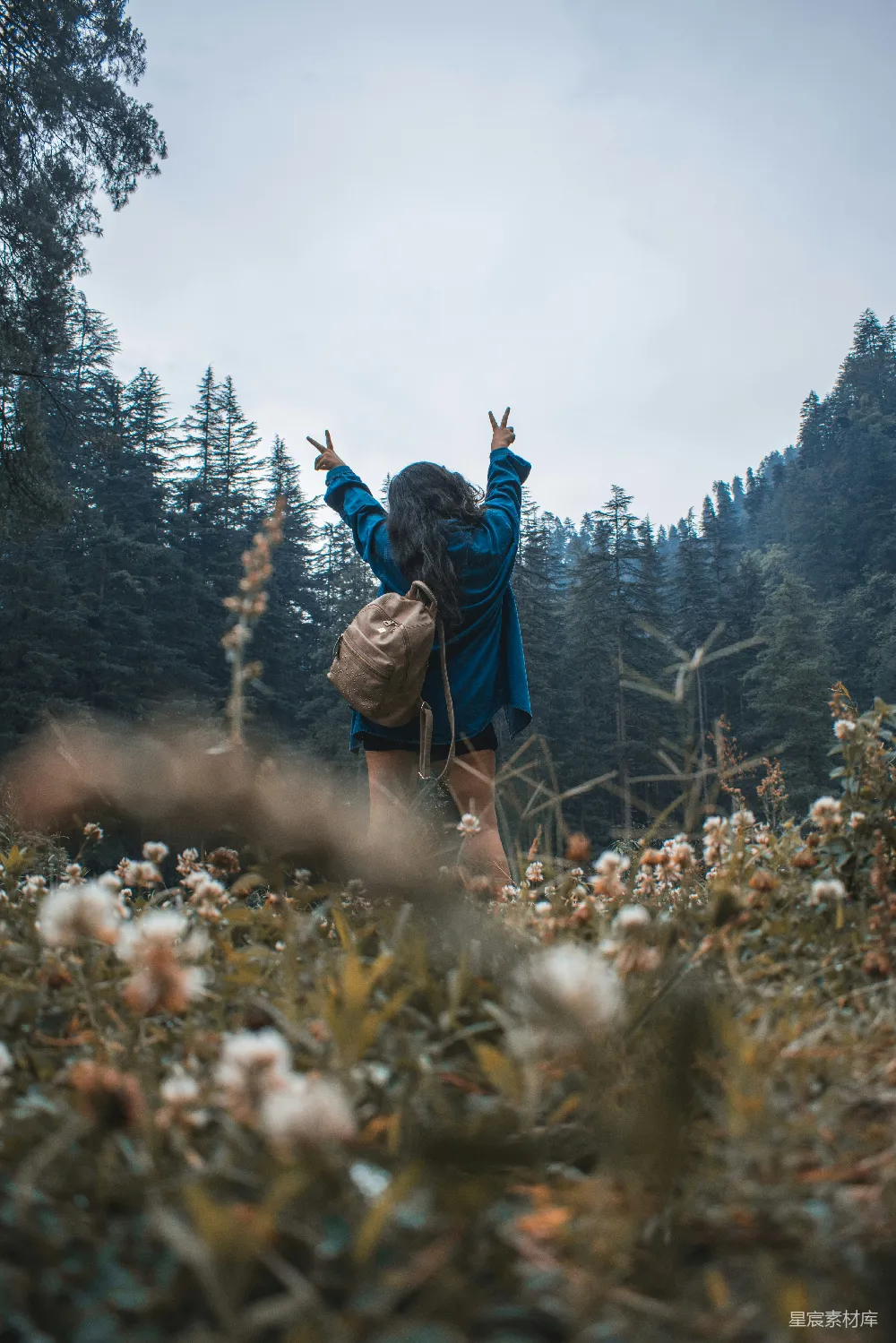 高清摄影 自然风光 户外旅行 自由自在 户外摄影 森林美景 在森林中拥抱自然