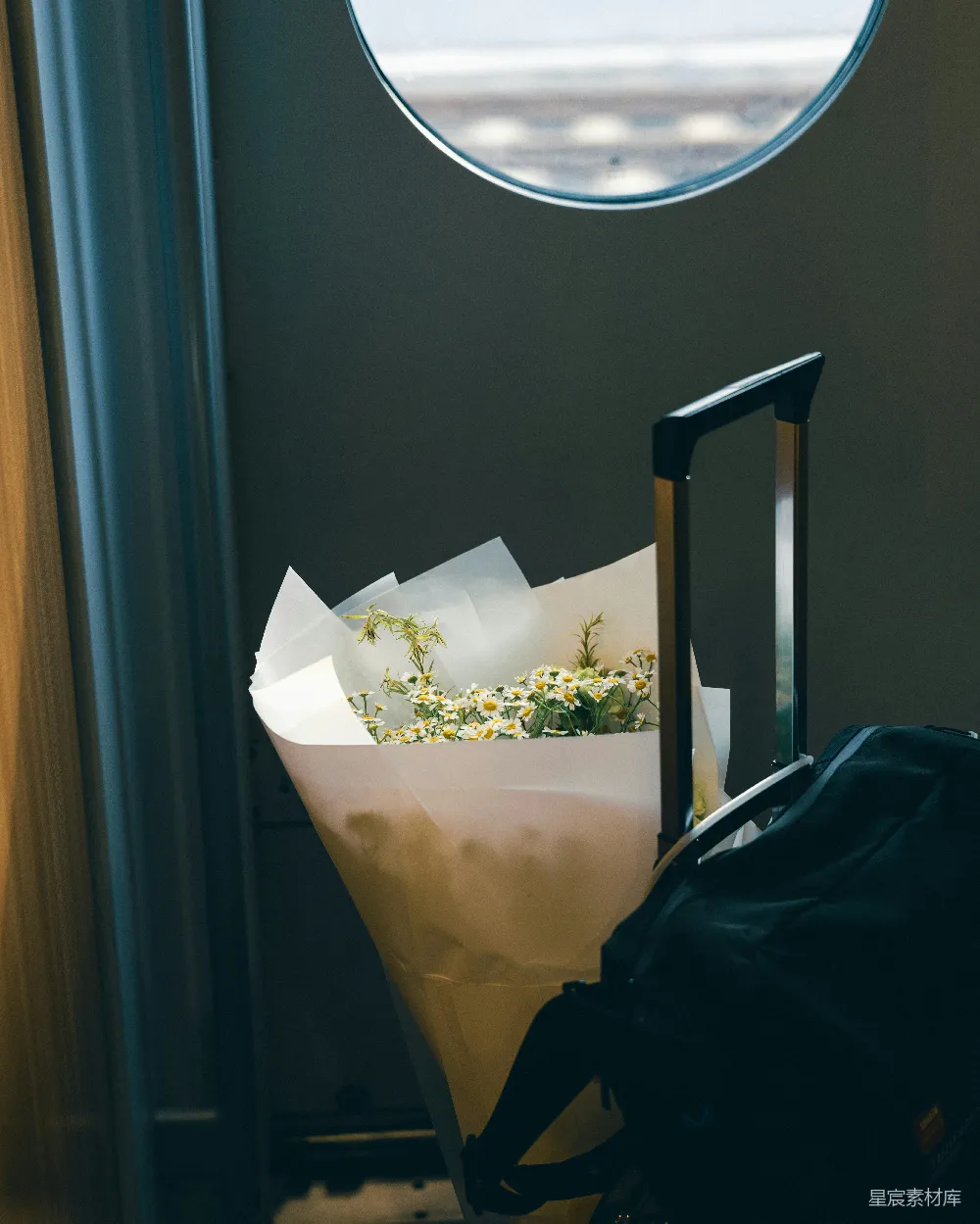 高清摄影 旅行 花卉 行李箱 飞机 自然 飞机上的花束与行李