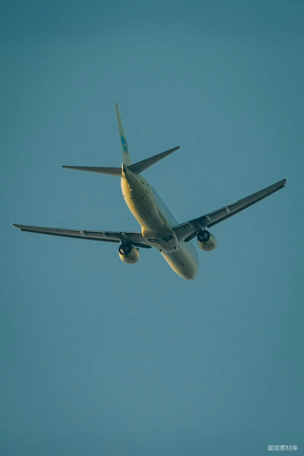 高清摄影 飞机 蓝天 旅行 飞行 交通工具 天空中的航班