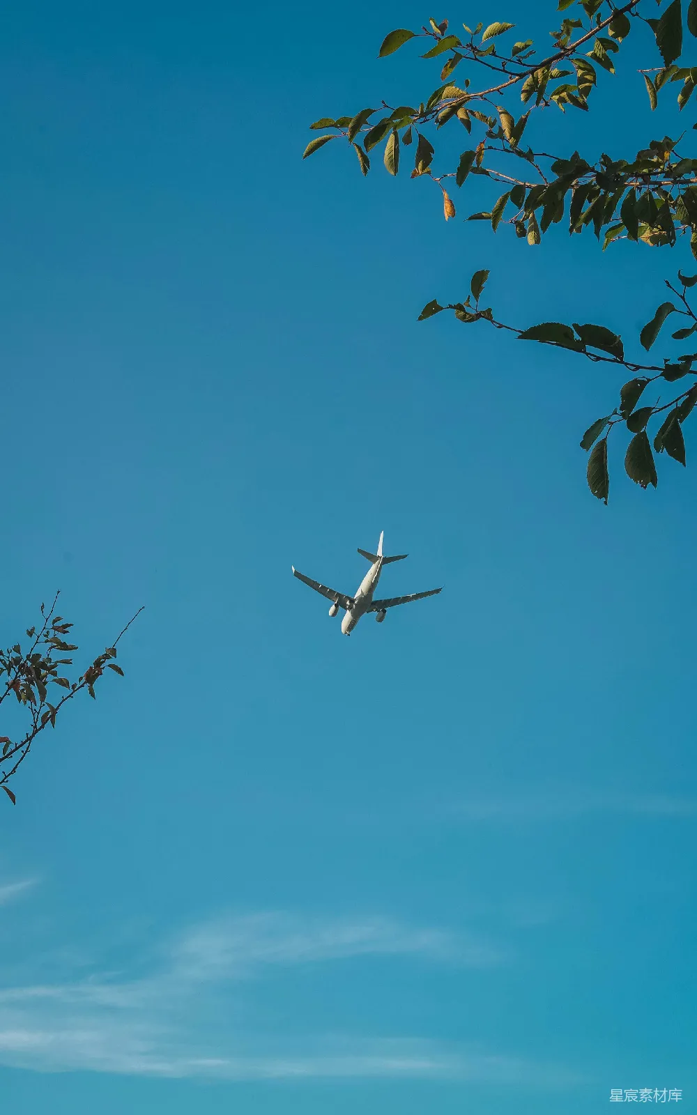 高清摄影 天空 飞机 自然 旅行 宁静 蓝天下的飞机与绿叶