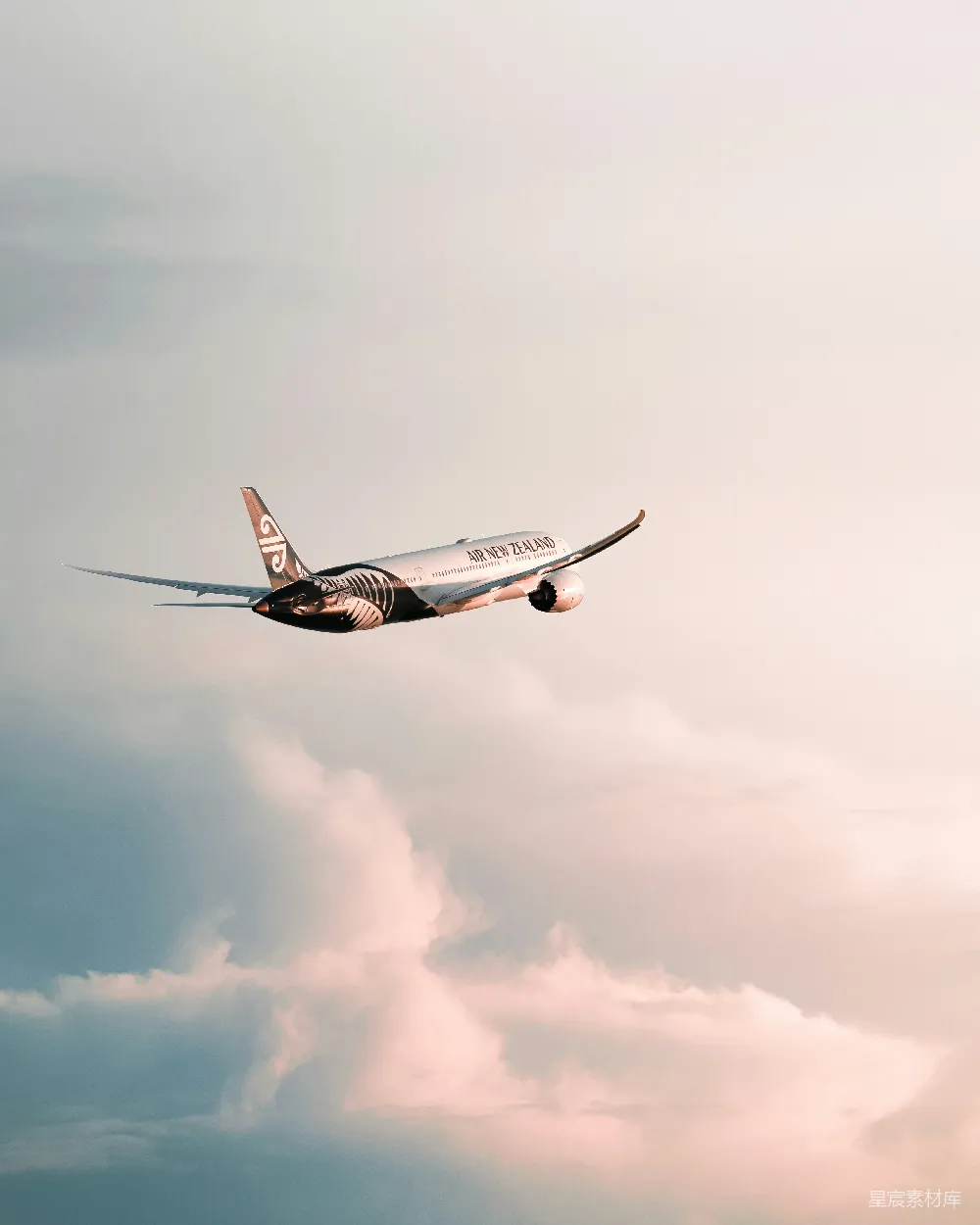 高清摄影 飞机 天空 旅行 新西兰航空 飞行 新西兰航空的空中之旅