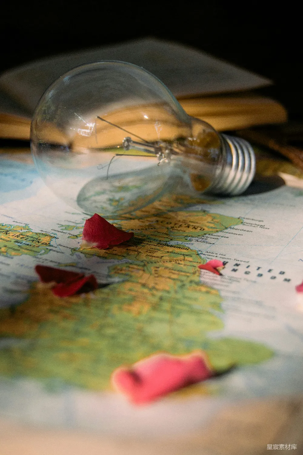 高清摄影 复古 怀旧 旅行 创意 艺术 灯泡与玫瑰花瓣上的地图