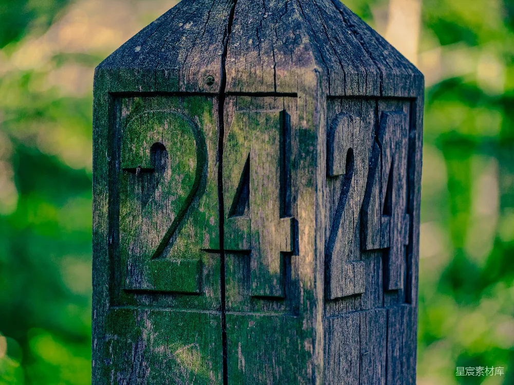 高清摄影 木桩 数字 自然 怀旧 户外 古老木桩上的数字242