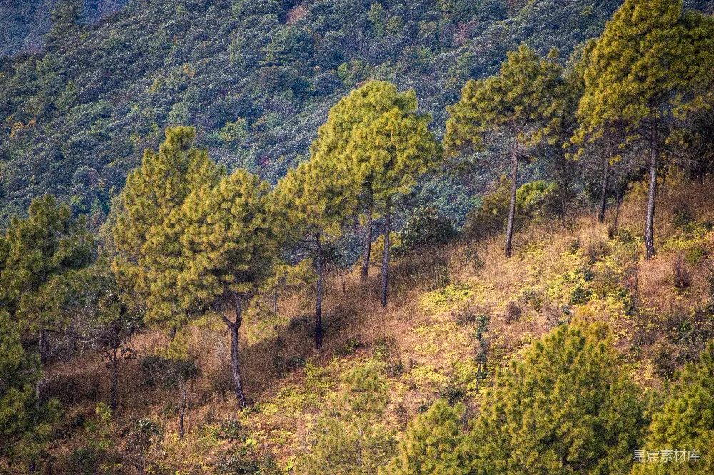 高清摄影 山林 秋季 自然风光 户外 宁静 秋日山林