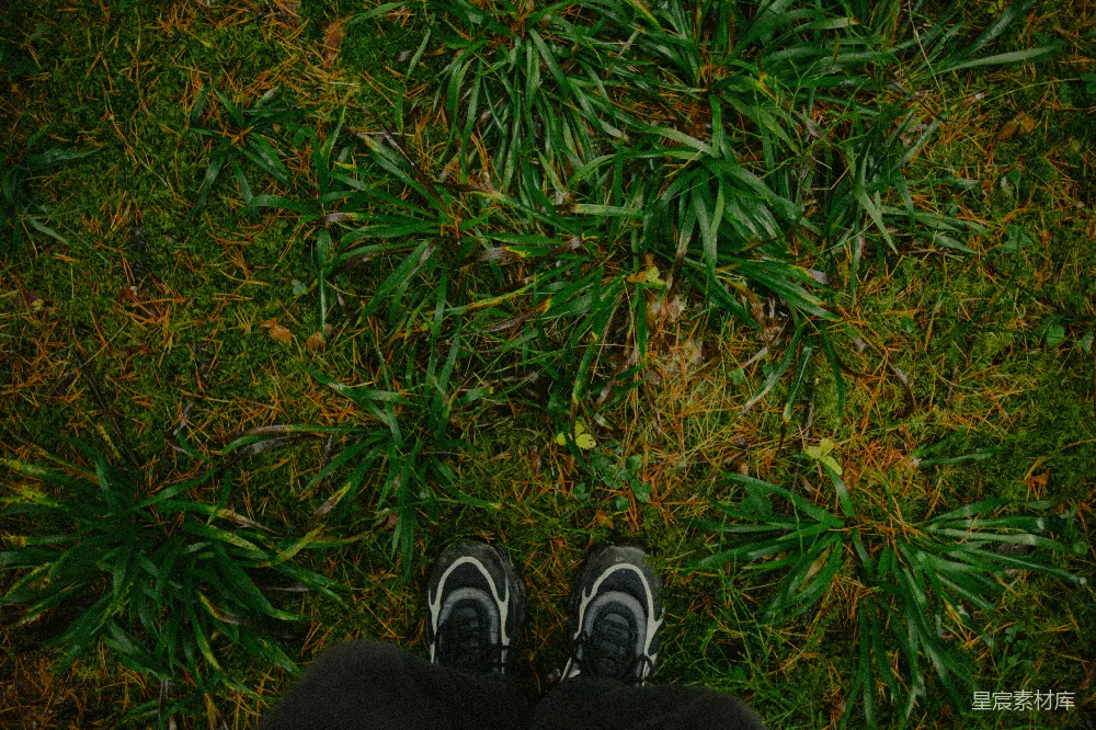 高清摄影 自然 户外 徒步 脚部 草地 脚下的自然