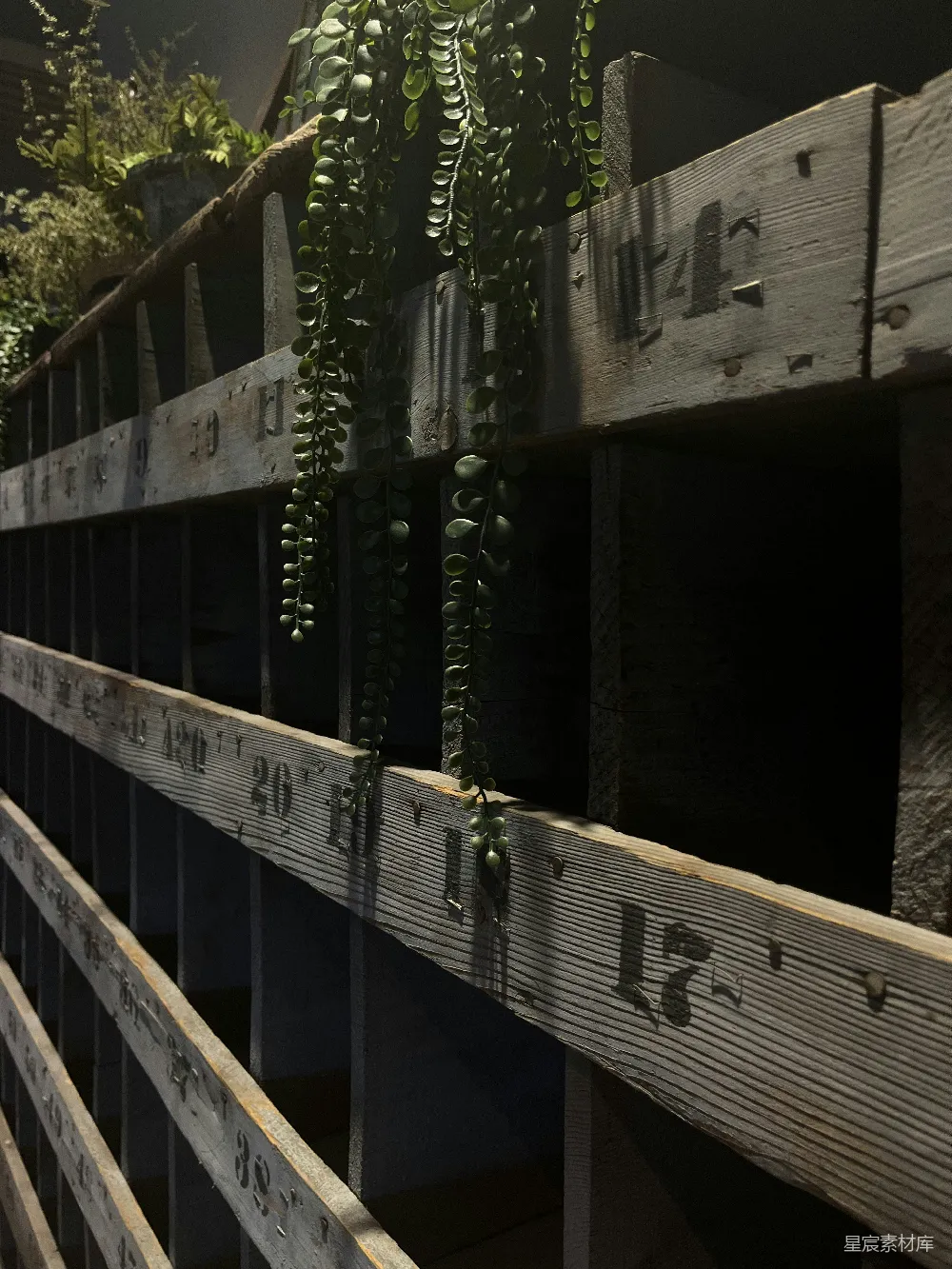 高清摄影 木栅栏 植物 光影效果 自然景观 户外场景 阳光下的木栅栏与垂吊植物