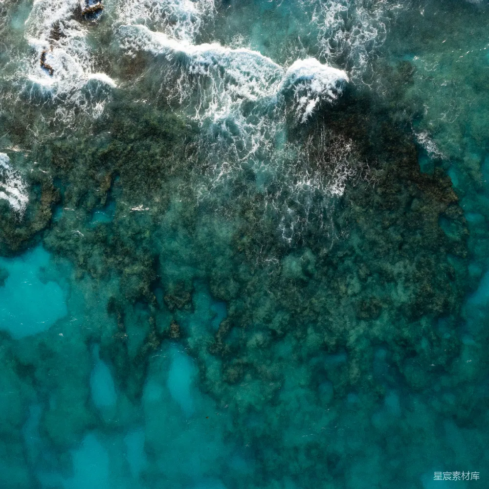 高清摄影 海浪 珊瑚礁 自然 航拍 海洋 海浪与珊瑚礁的俯瞰