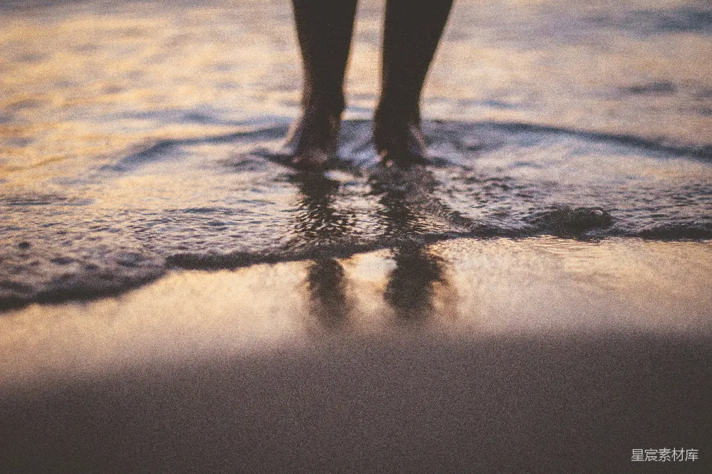 高清摄影 海滩 日落 宁静 自然 脚印 日落时分的脚印