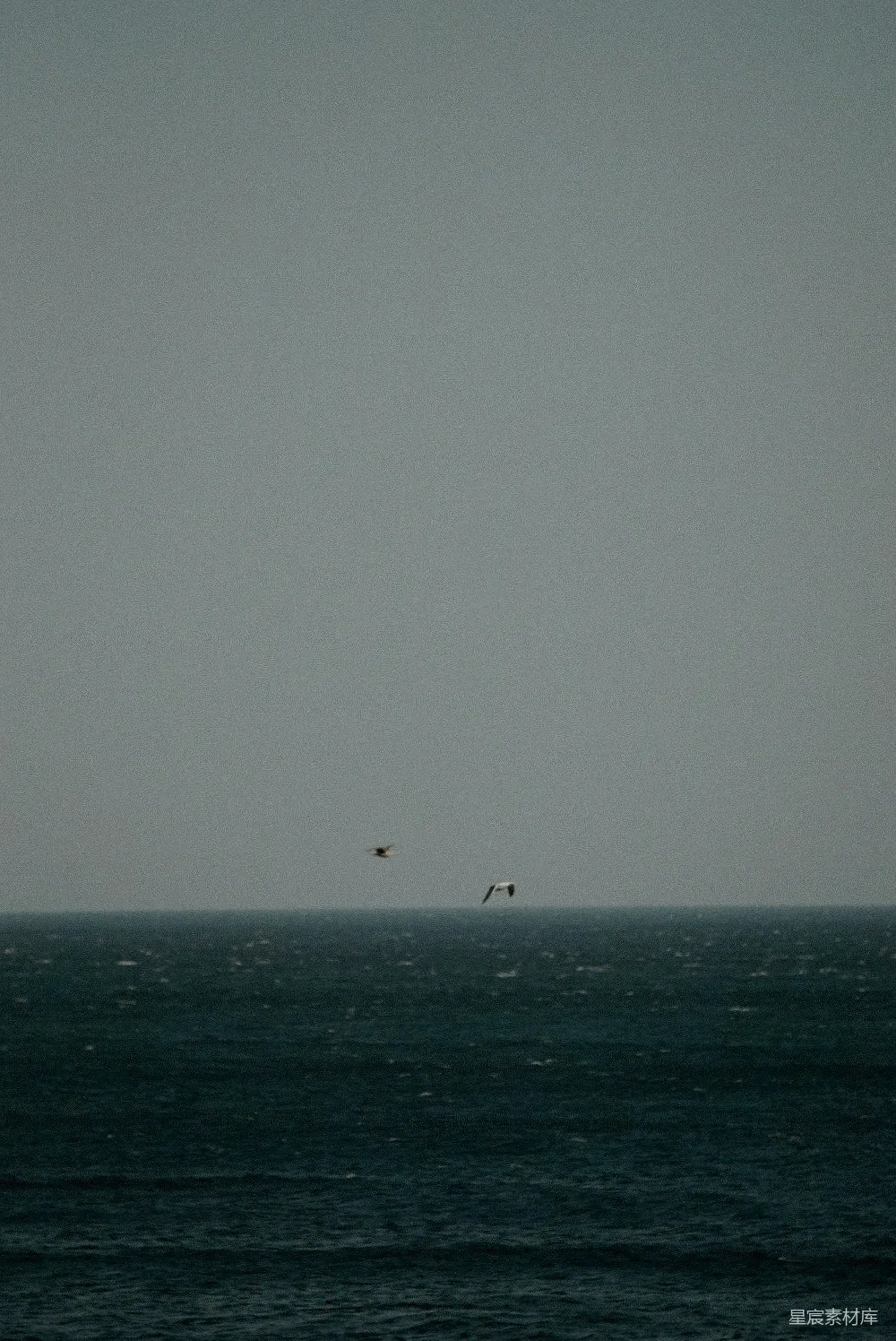 高清摄影 海景 天空 飞翔的鸟 平静 自然 海天一色的宁静