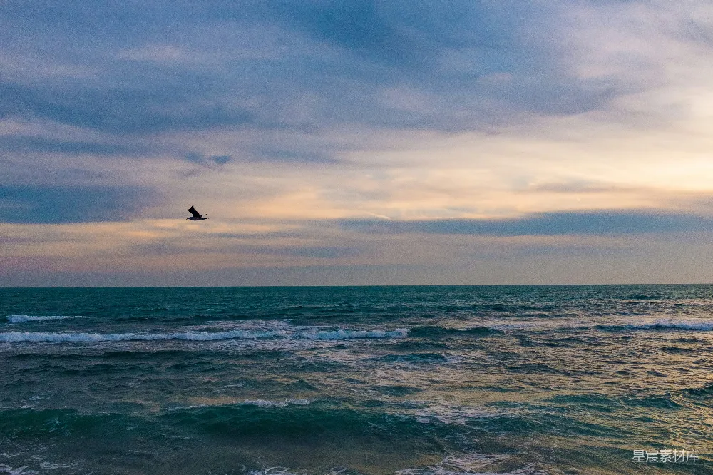 高清摄影 海景 夕阳 自由 自然 宁静 海鸥与夕阳下的波涛