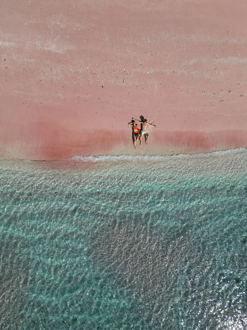 高清摄影 海滩 爱情 航拍 自然美景 休闲时光 粉色沙滩上的爱侣
