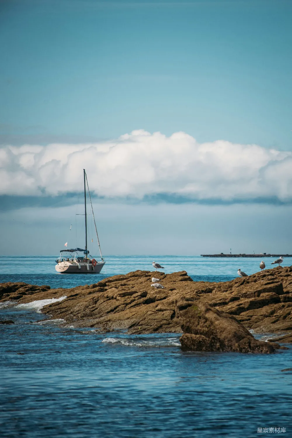高清摄影 海景 帆船 海鸥 宁静 自然 帆船与海鸥的静谧时光