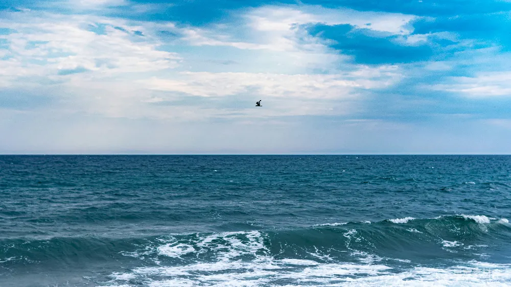 高清摄影 海洋 天空 海鸥 平静 自然 海天一色的宁静时刻