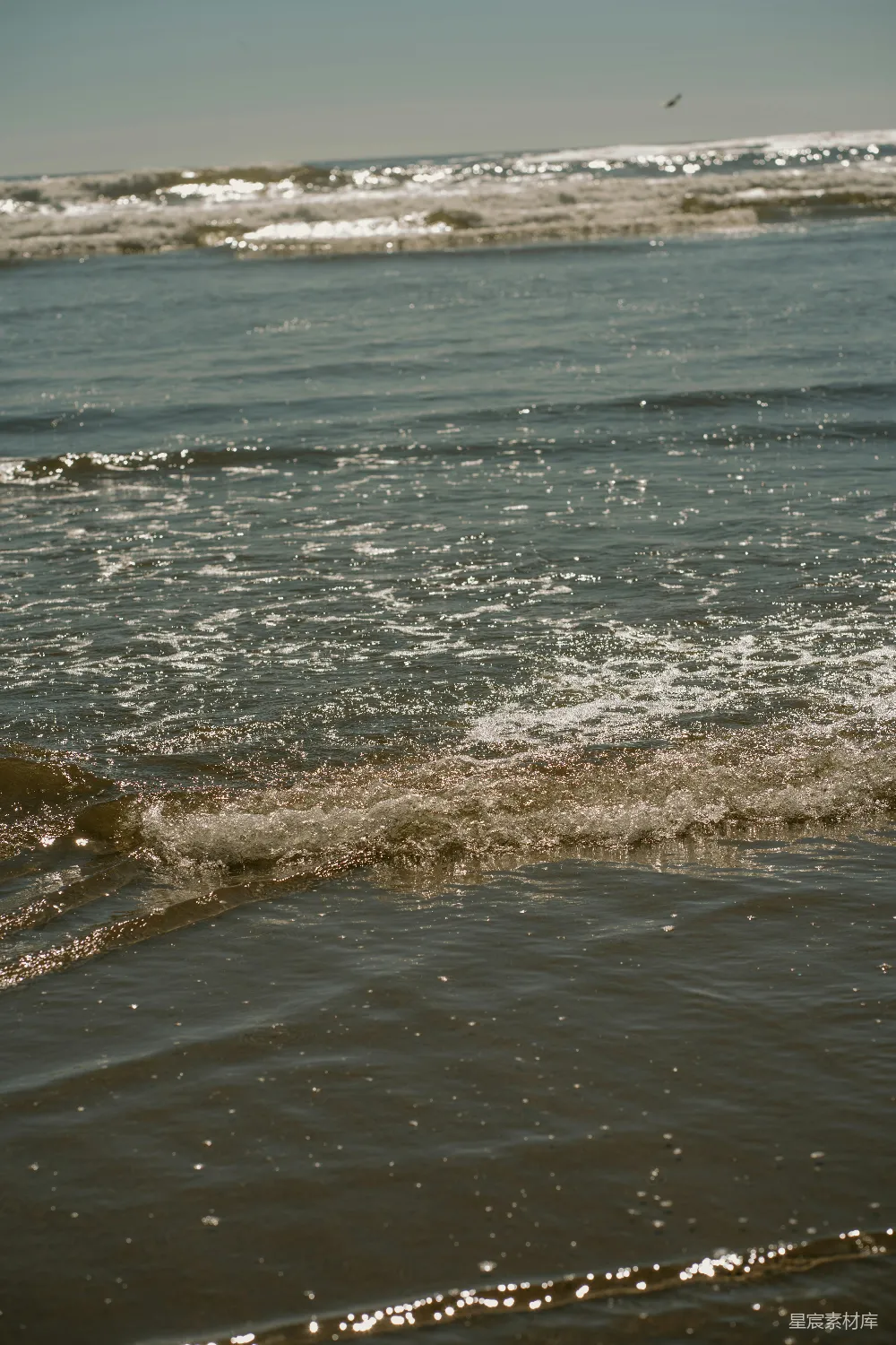 高清摄影 海浪 沙滩 宁静 自然 日落 海浪拍打沙滩的宁静时刻