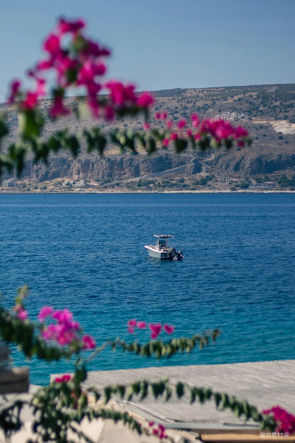 高清摄影 海岸 风景 粉花 小船 宁静 粉花点缀的海岸风景