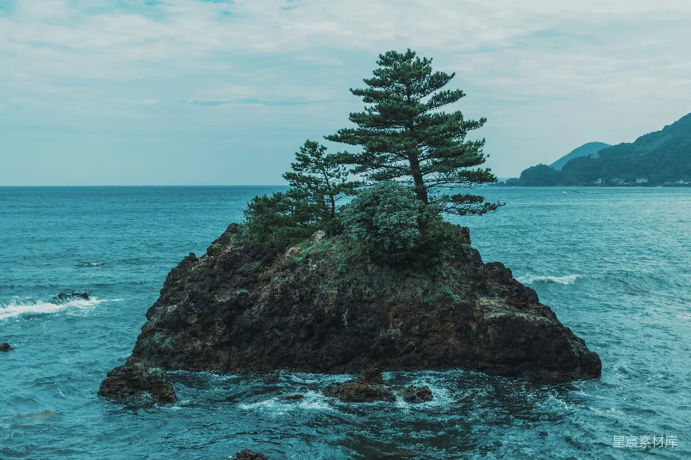 高清摄影 海边 孤岛 松树 自然 宁静 海边孤岛上的松树