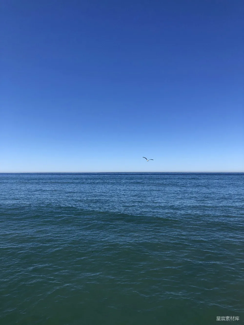 高清摄影 海景 天空 宁静 自然 鸟儿 海天一色的宁静