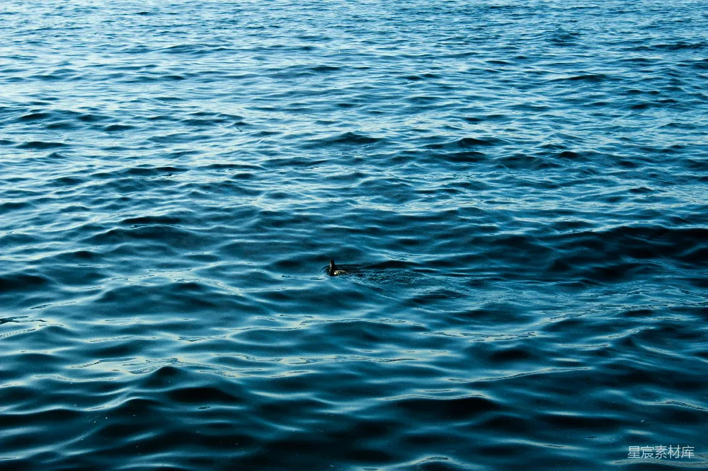高清摄影 海洋 平静 自然 水波 宁静 静谧的海面