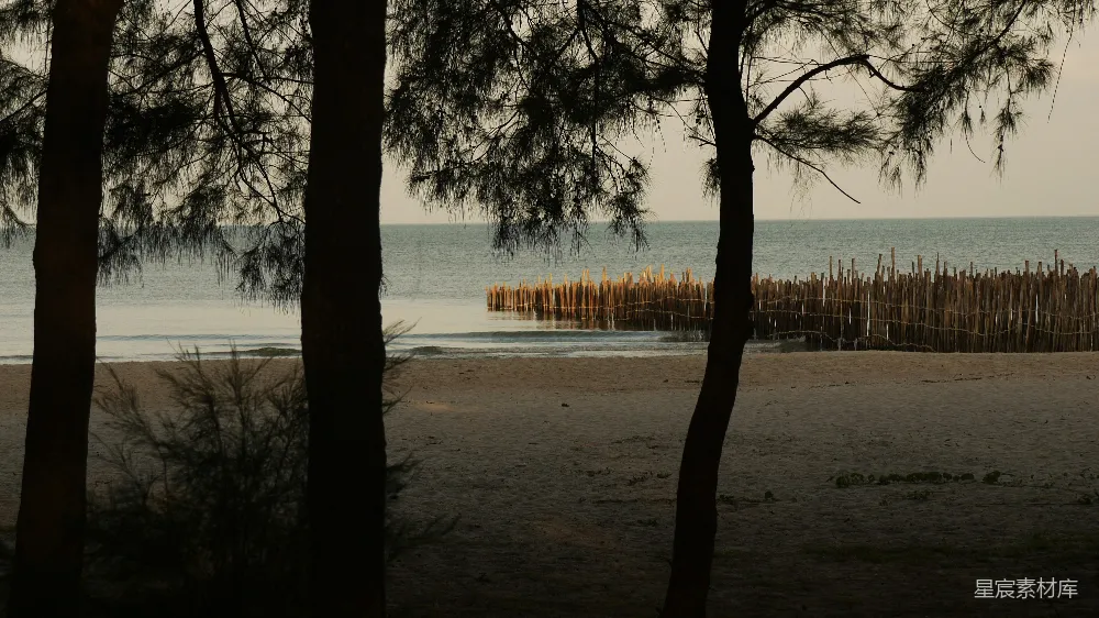 高清摄影 海滩 日落 自然 宁静 海边的宁静时光