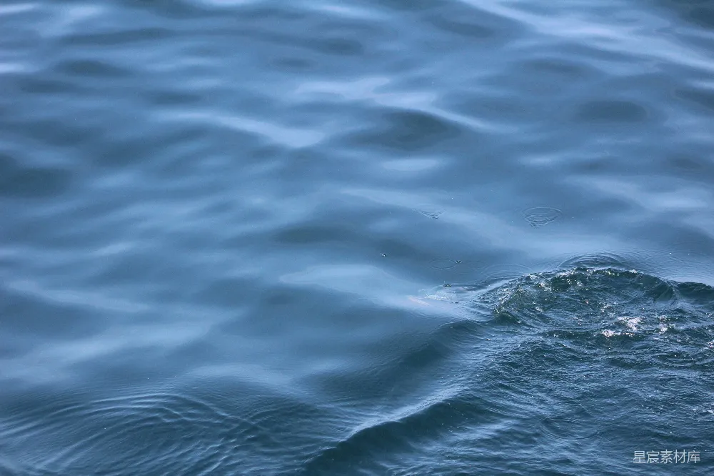 高清摄影 海面 涟漪 平静 自然 水波 平静海面的涟漪