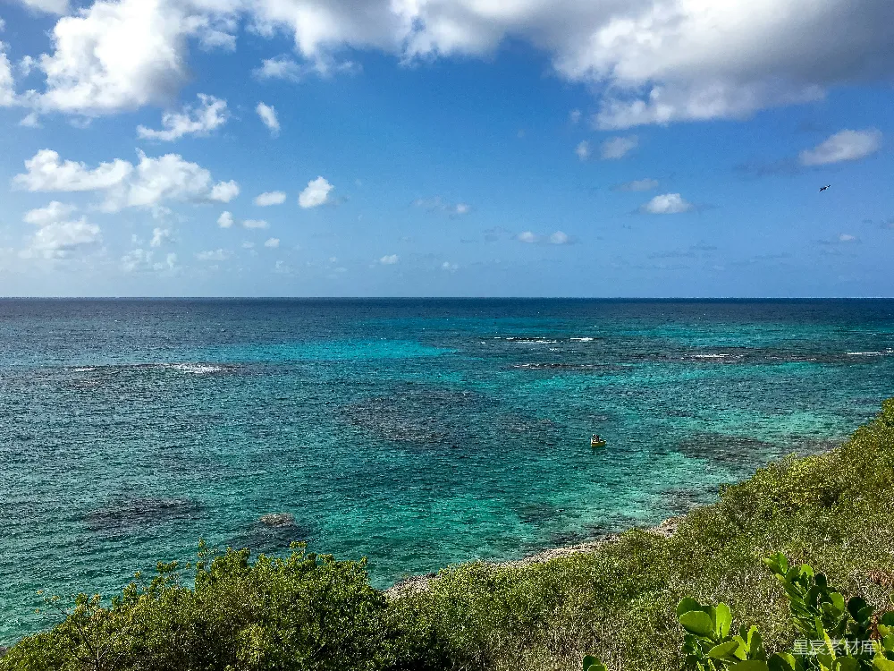 高清摄影 海滩 热带风光 自然美景 宁静 夏日 蓝海与绿树的静谧时光