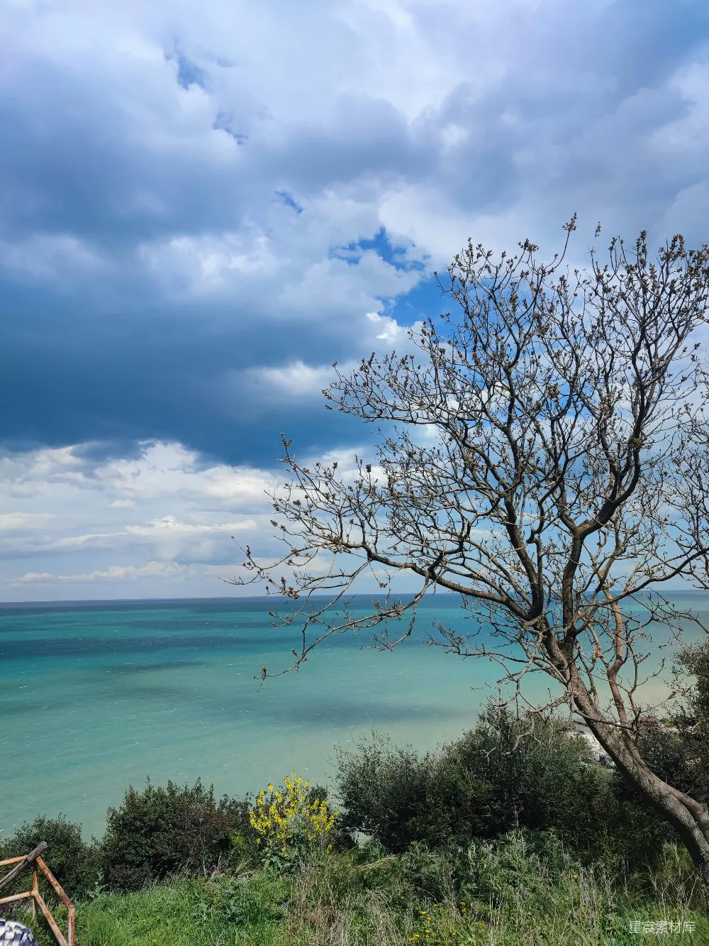 高清摄影 海边 自然 冬日 风景 宁静 海边的冬日风景