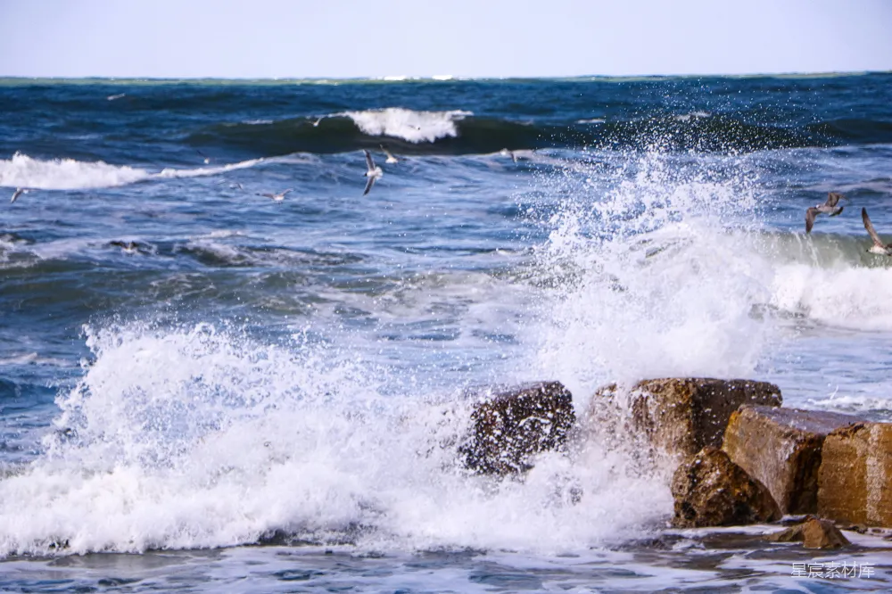 高清摄影 海洋 自然 海浪 岩石 动态 海浪拍打岩石