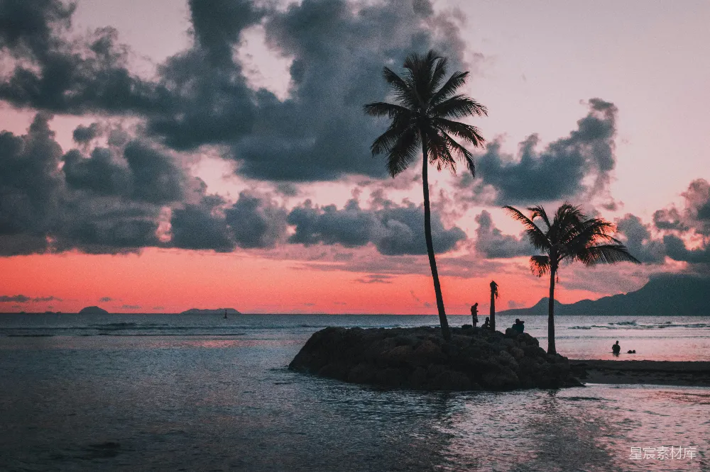 高清摄影 海滩 日落 棕榈树 自然风光 宁静 日落时分的海滩剪影