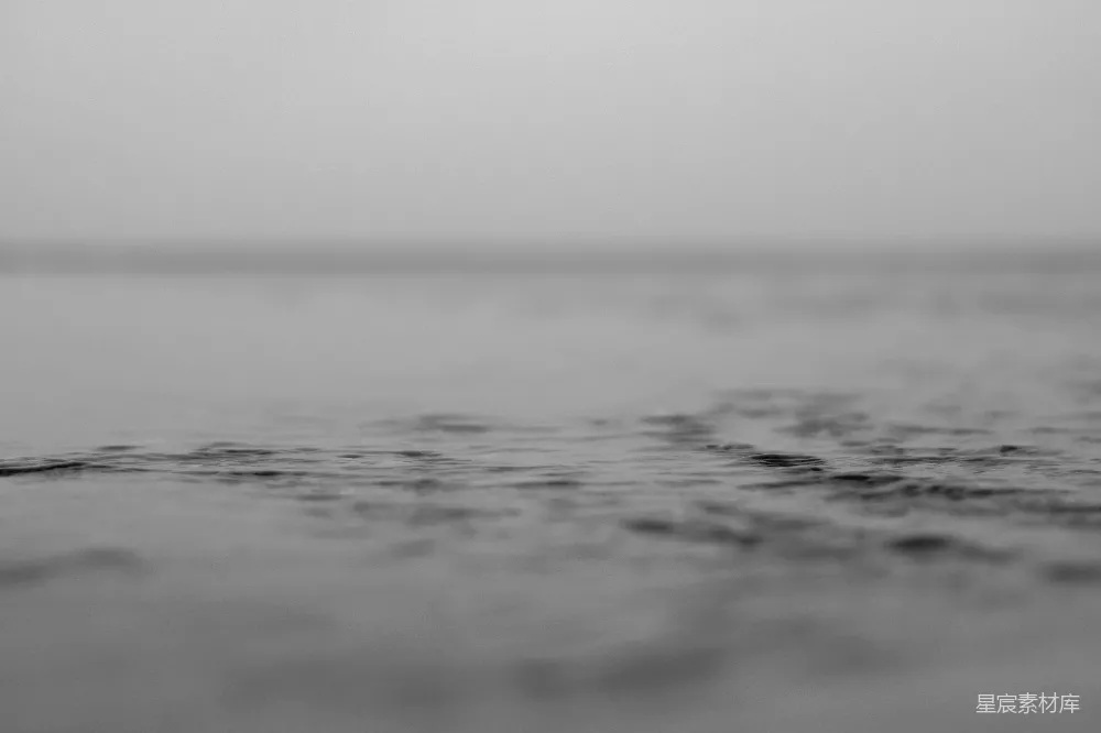 高清摄影 水滴 涟漪 宁静 黑白 自然 水滴涟漪
