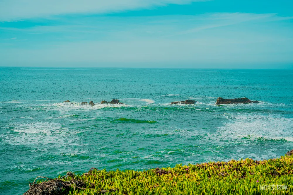 高清摄影 海岸线 岩石 海洋 自然风光 风景 海岸上的岩石与绿植