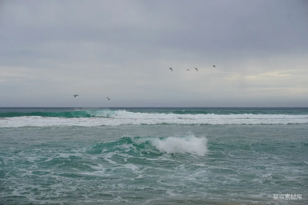 高清摄影 海洋 自然风光 动态景象 鸟瞰视角 平静与活力 海浪与飞鸟