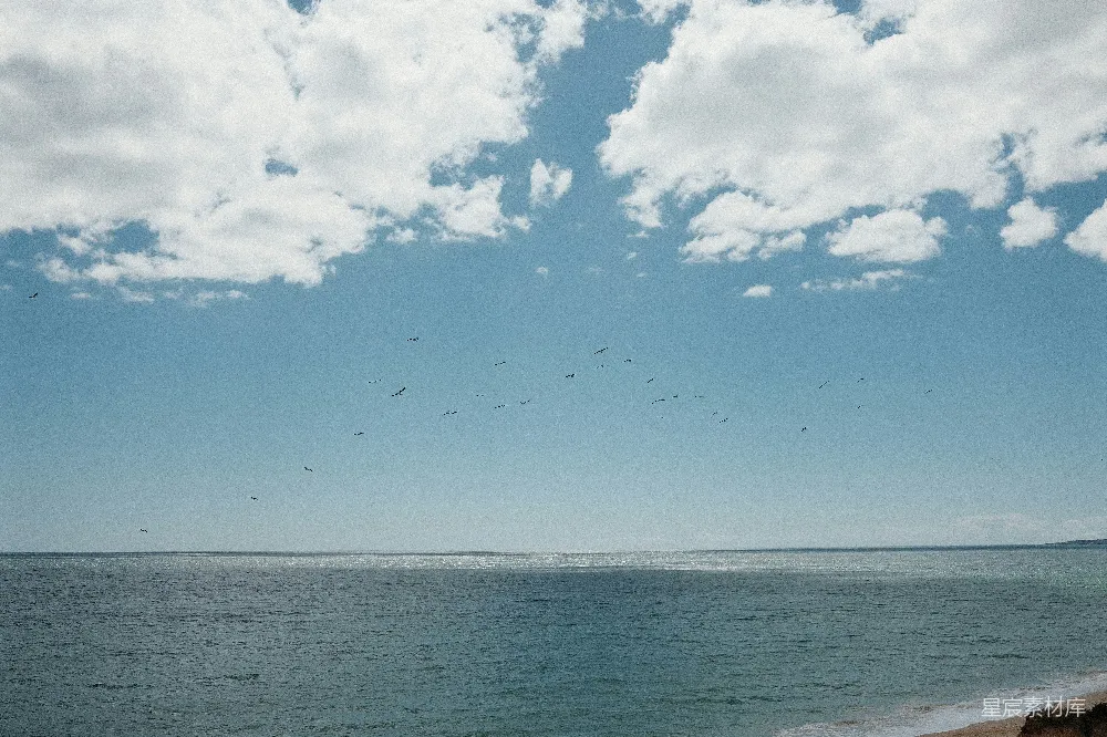 高清摄影 自然风光 宁静 自由 海洋 天空 海天一色，自由飞翔
