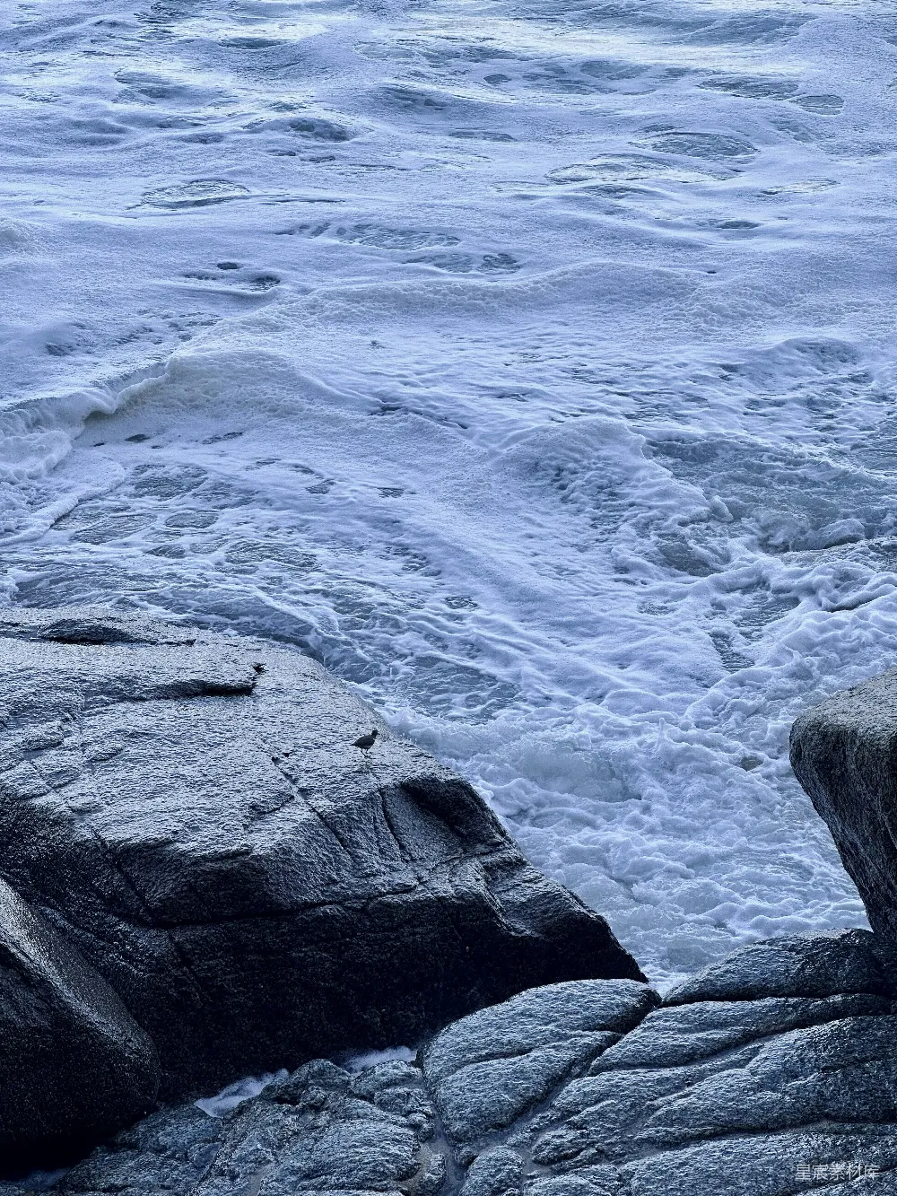 高清摄影 海浪 岩石 鸟 自然景观 宁静 岩石上的鸟与波涛