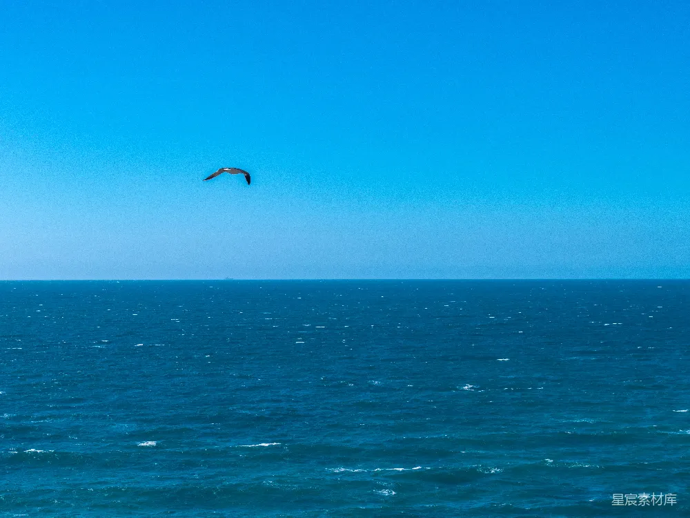 高清摄影 海洋 蓝天 自由 风景 自然 海天一色，自由飞翔