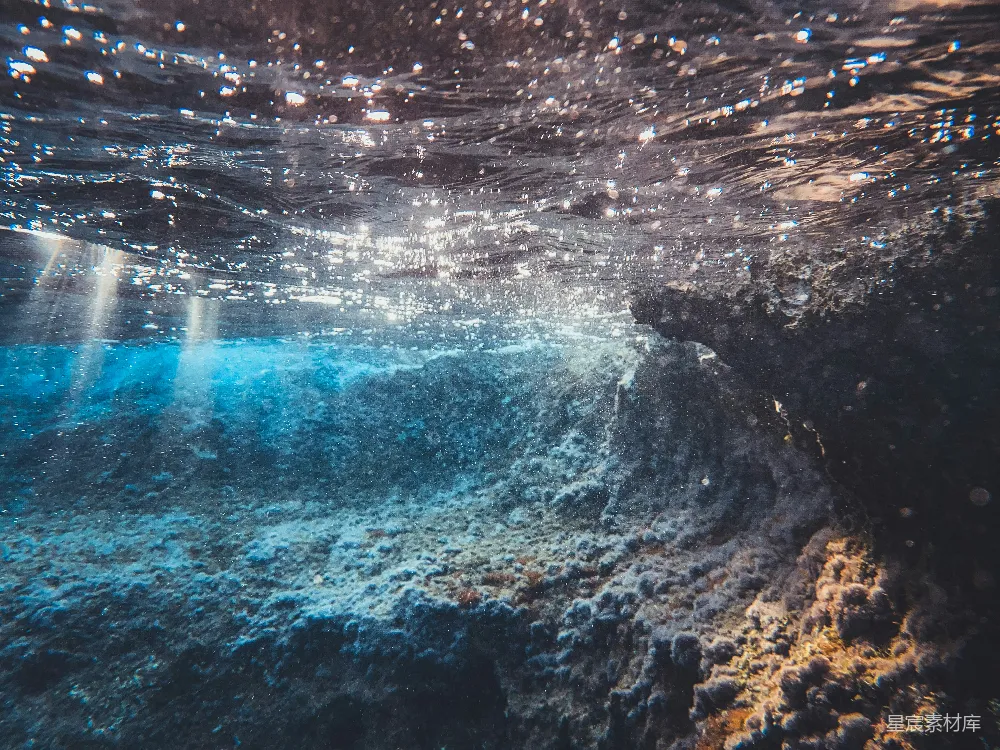 高清摄影 水下摄影 海洋 宁静 自然 探险 水下世界的神秘与宁静