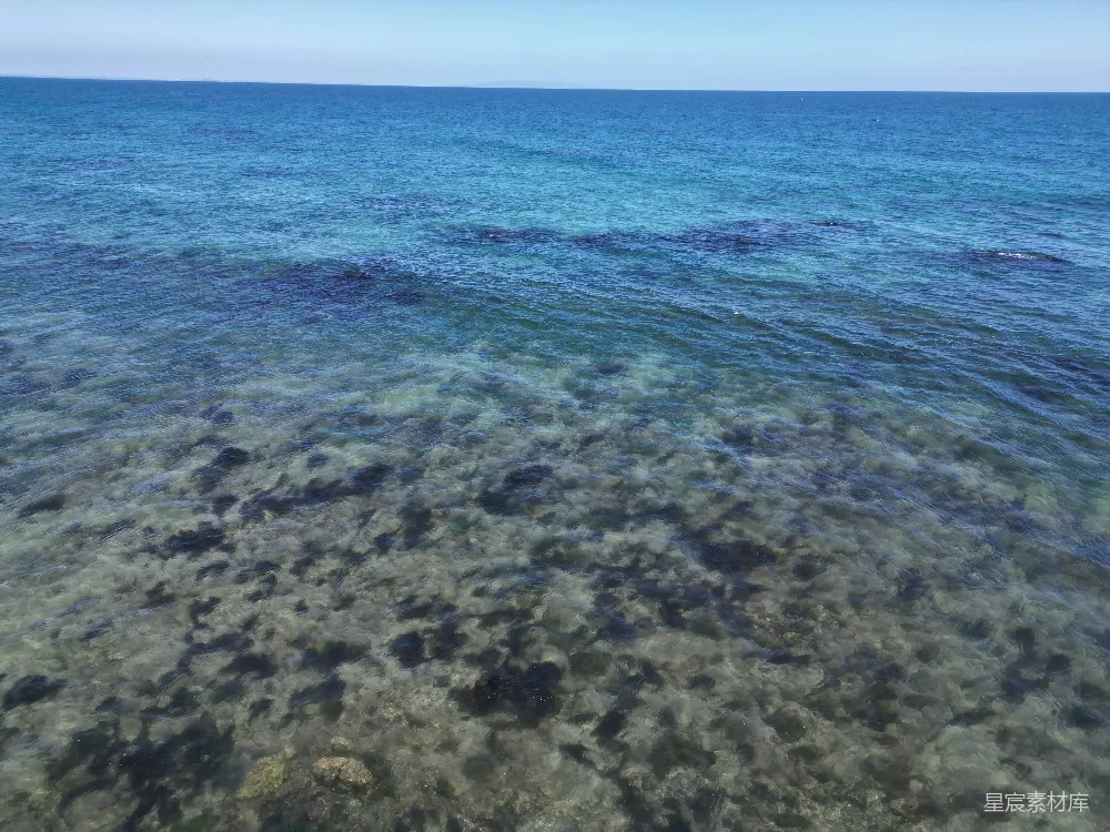 高清摄影 海洋 清澈 岩石 自然 宁静 清澈的海面与海底岩石