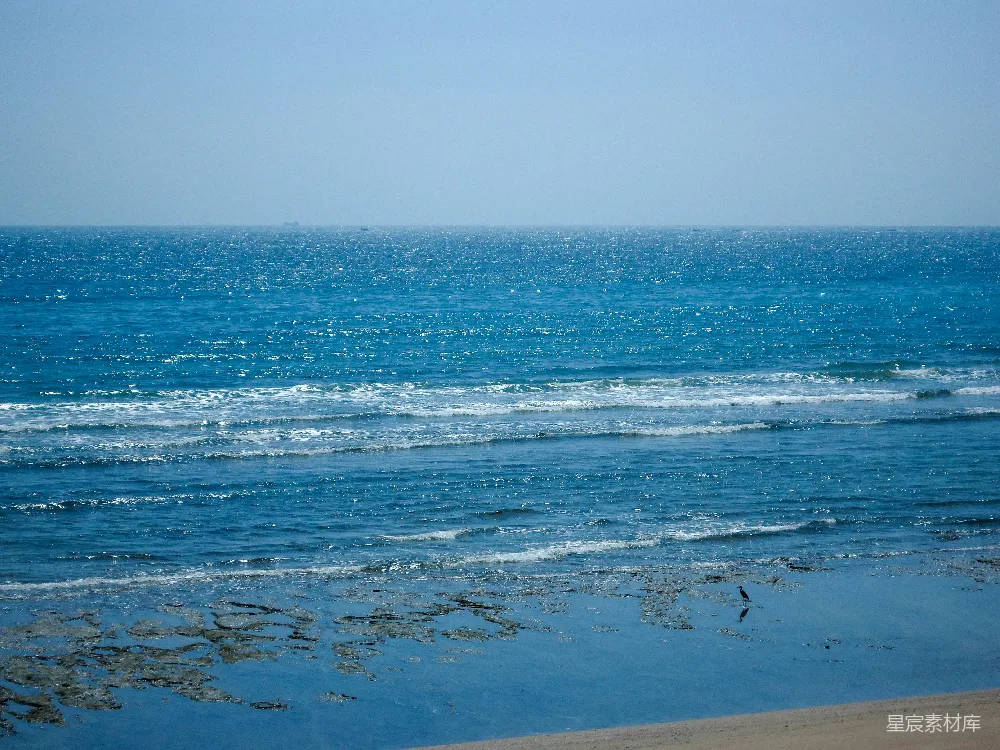 高清摄影 海滩 海景 自然 宁静 海鸥 宁静的海滩与海鸥