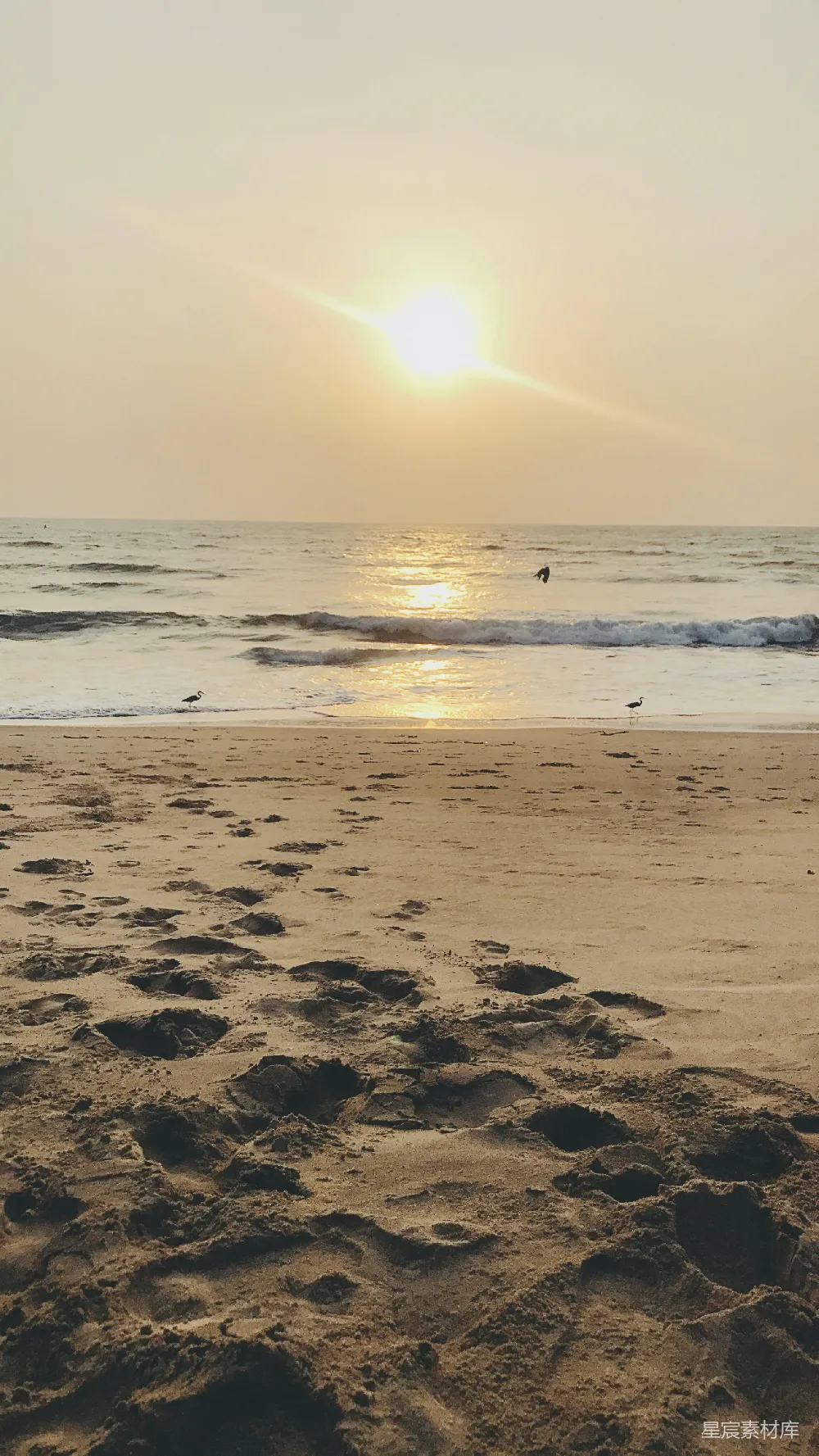高清摄影 海滩 日落 宁静 自然 海滩风景 日落海滩的宁静时光
