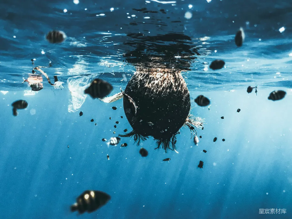 高清摄影 海洋污染 环保 海洋生物 生态问题 环保意识 海洋污染：漂浮的垃圾与鱼类