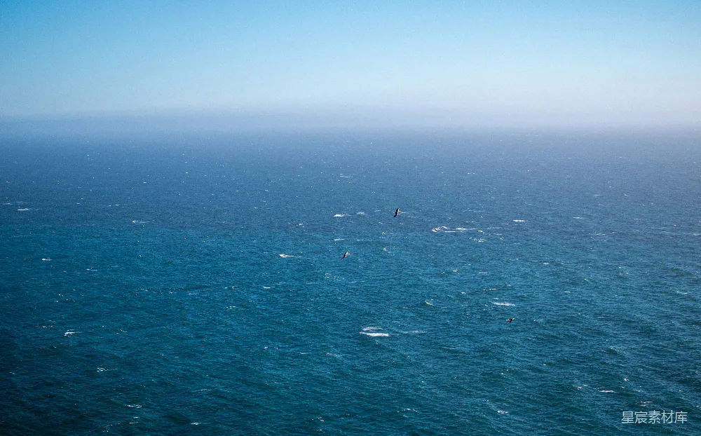 高清摄影 海景 自由 自然 宁静 海鸥 海天一色的宁静与自由