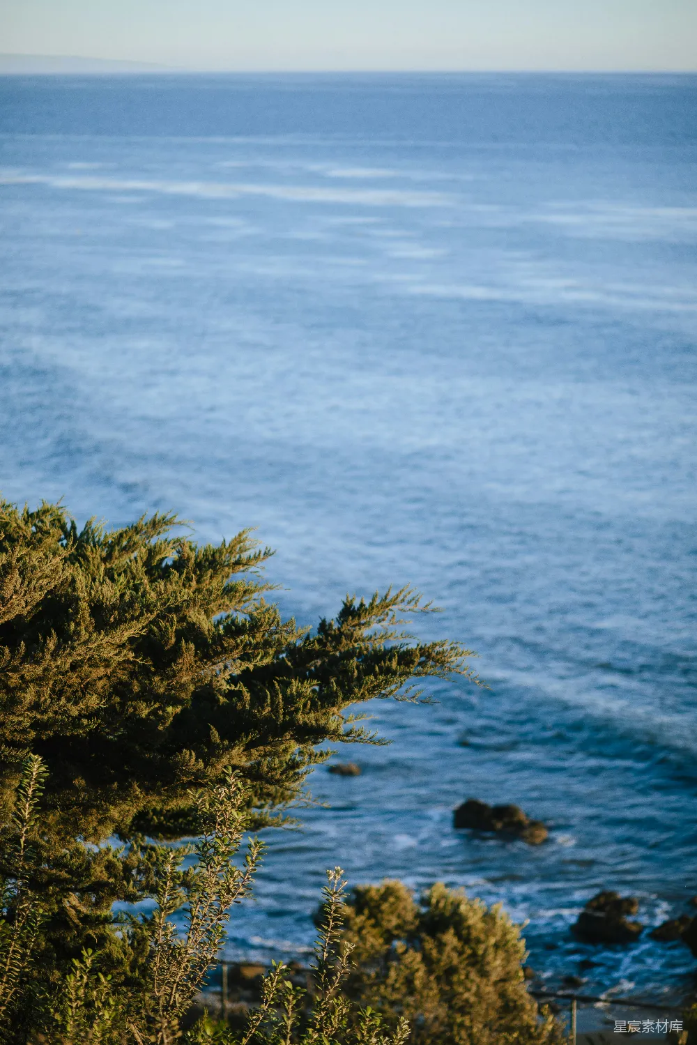 高清摄影 海景 植物 宁静 自然 风景 海边的绿植与宁静的海景